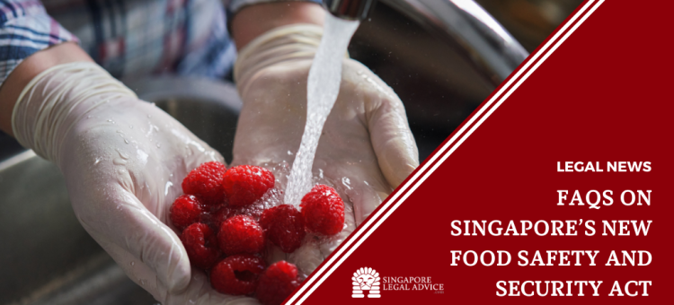 person wearing gloves and washing fruits