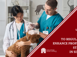 vets treating a dog